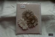 Bronzed Dahlias